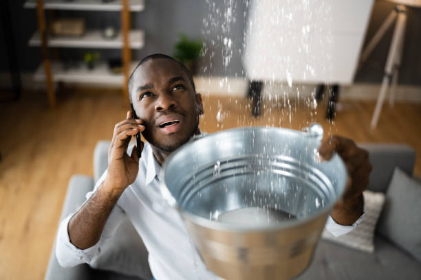 Best Water damage restoration near me  in Pickens, SC