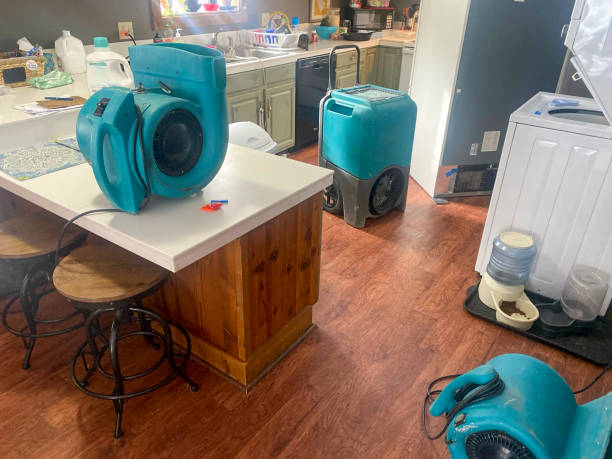 Best Residential water damage restoration  in Pickens, SC
