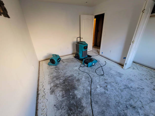 Best Mold removal after water damage  in Pickens, SC