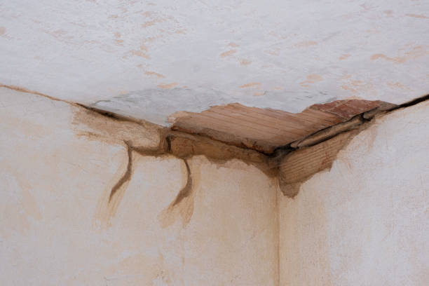 Water damage restoration insurance claims in SC