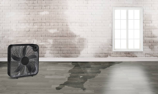 Best Ceiling water damage repair  in Pickens, SC