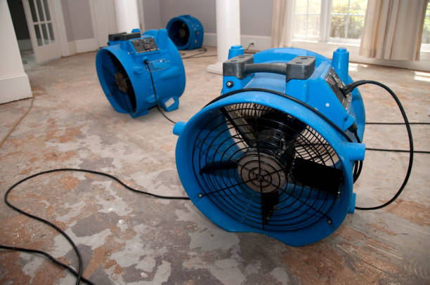 Best Basement water damage restoration  in Pickens, SC