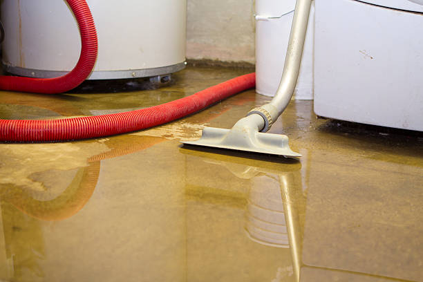 Reliable SC Water damage restoration Solutions