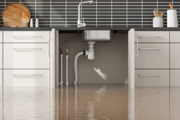Best Water damage restoration mold remediation  in Pickens, SC