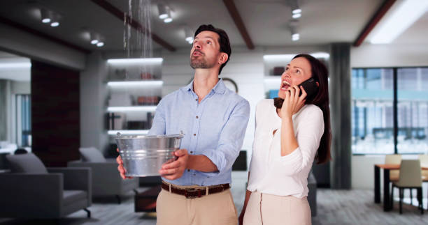 Best Water damage mitigation services  in Pickens, SC