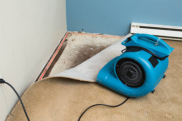 Best Flood damage cleanup  in Pickens, SC